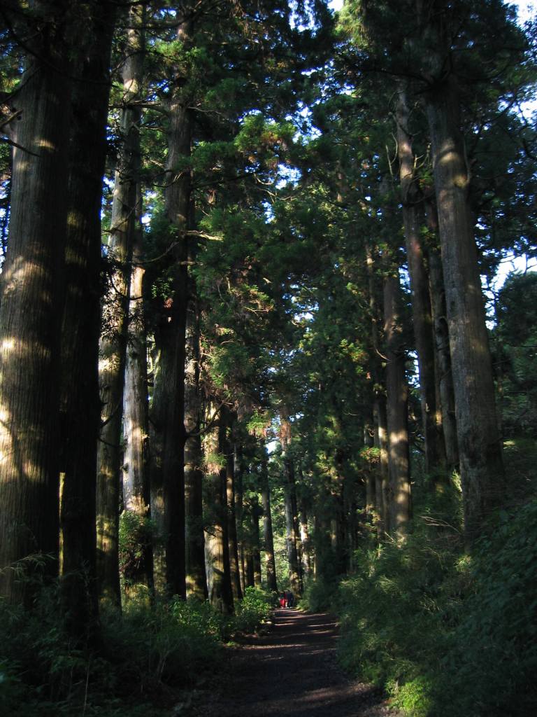 gal/Autour de Tokyo/Hakone/110_1079.jpg